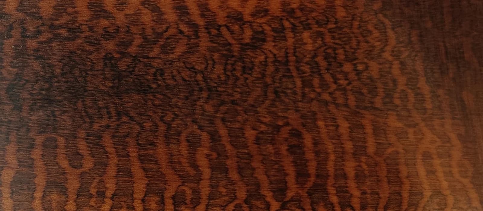 Legno Serpente (Amoretto)